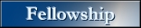 FELLOWSHIP